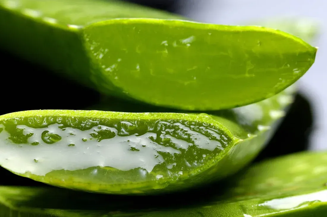 Cosmética orgánica: aloe vera