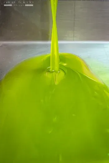 Flor de aceite: un ingrediente único